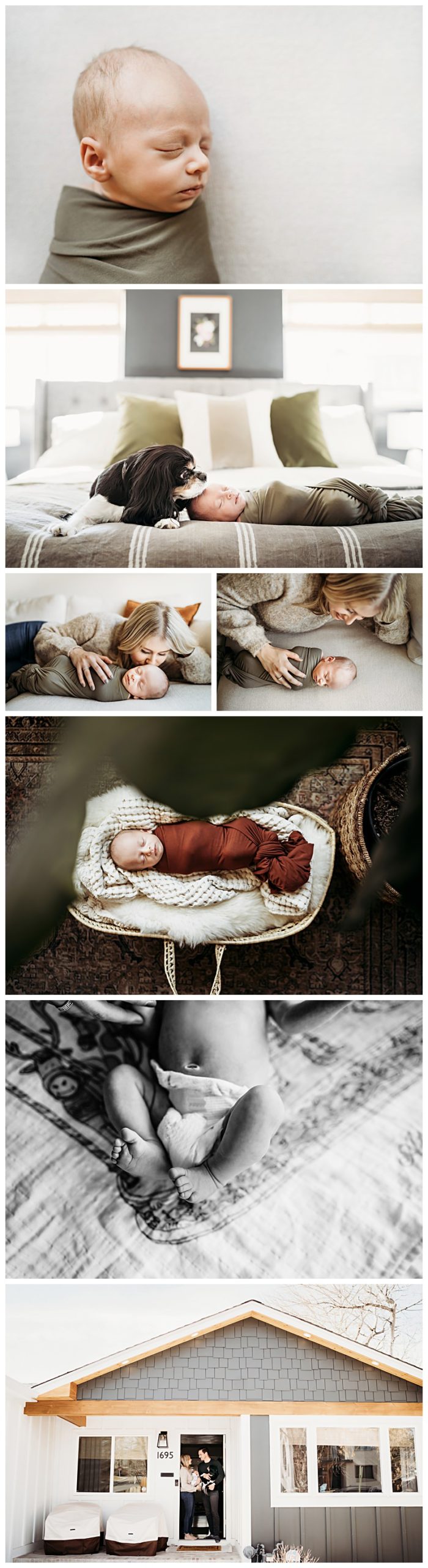 Alex Morris Design Denver Newborn Photographer