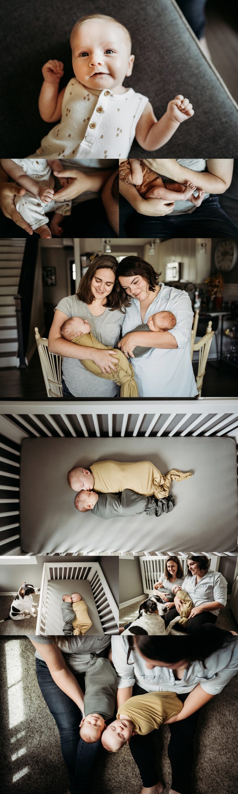 denver family and newborn photographer, lgbtq friendly, same sex parents